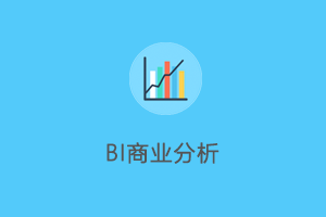 BI商业智能