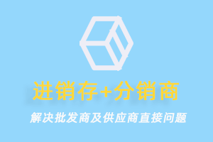 进销存管理系统手册